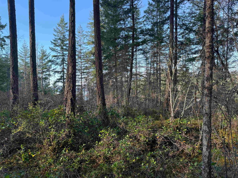 LOT B Francis Peninsula Road, Madeira Park, V0N 2H1 | Image 3