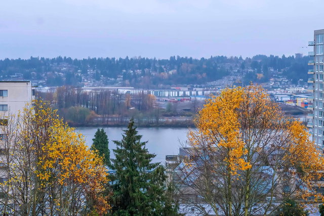 501 - 500 Royal Avenue