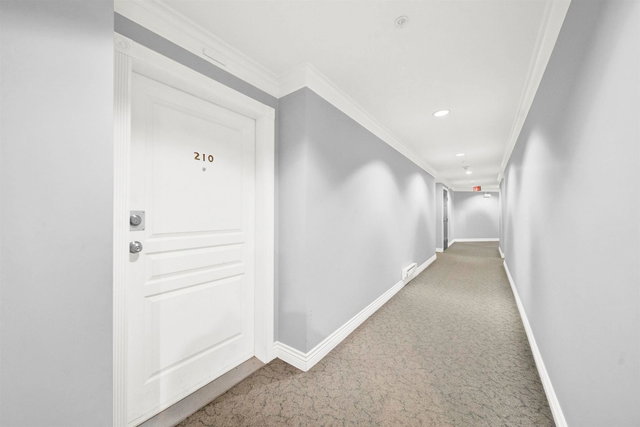 210 - 8115 121a Street