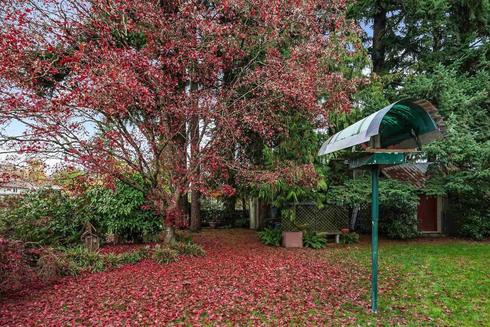 Listing Image 37
