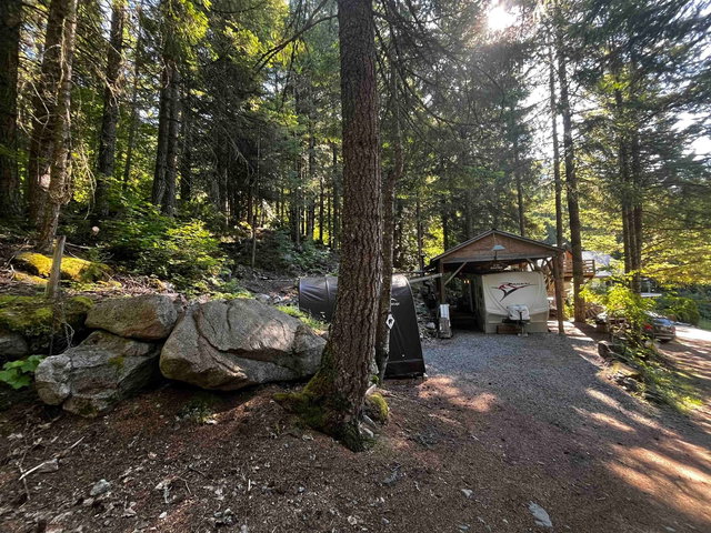 H59 Blueberry Crescent