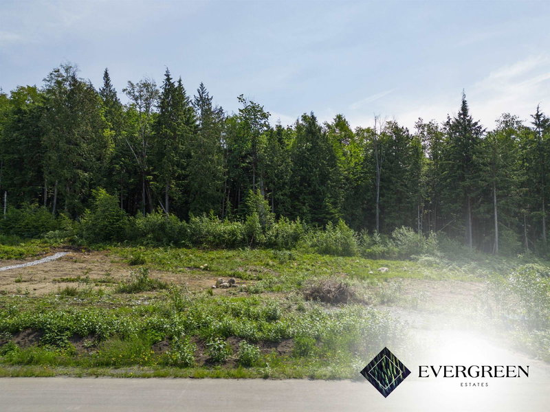 12522 271 Street, Maple Ridge, V2W 1C2 | Image 3