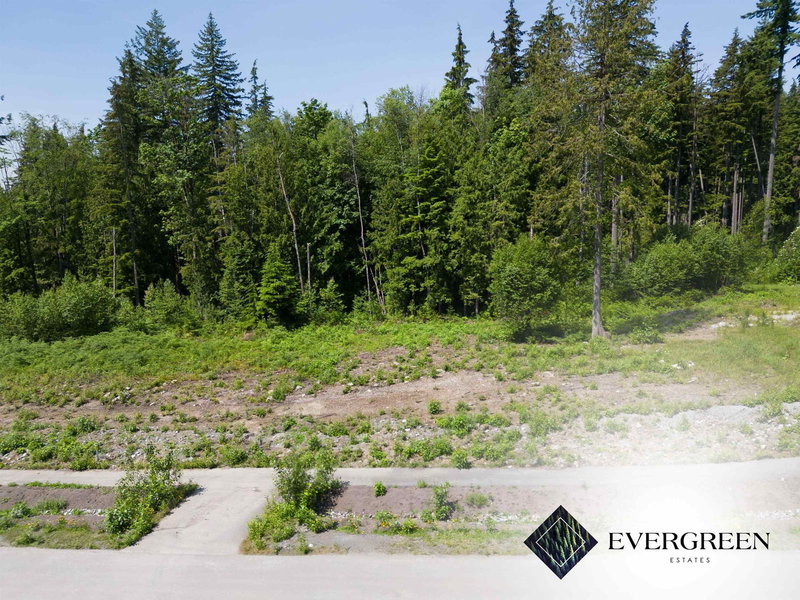 12535 271 Street, Maple Ridge, V2W 1C2 | Image 3