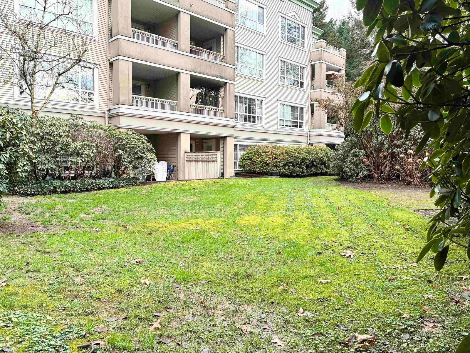 Listing Image 31
