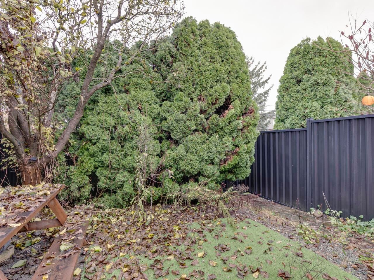 Listing Image 25