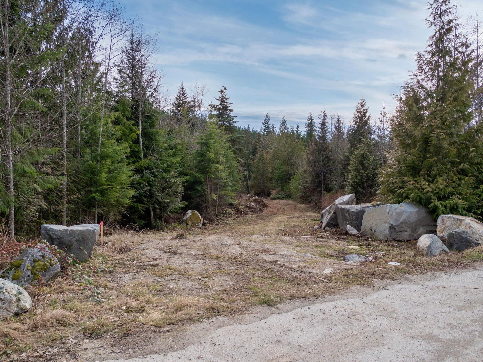 Listing Image 37