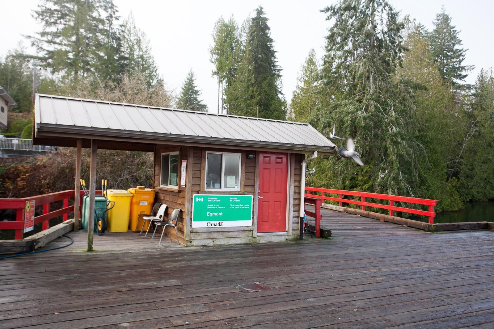 Listing Image 13