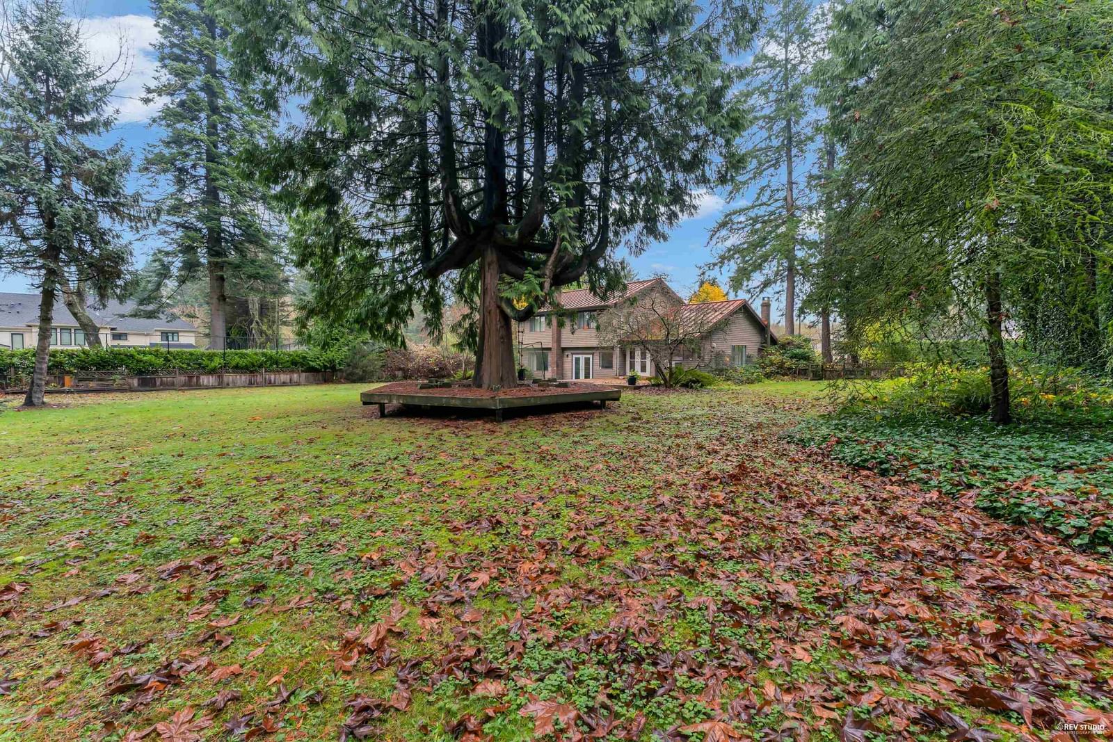 Listing Image 19