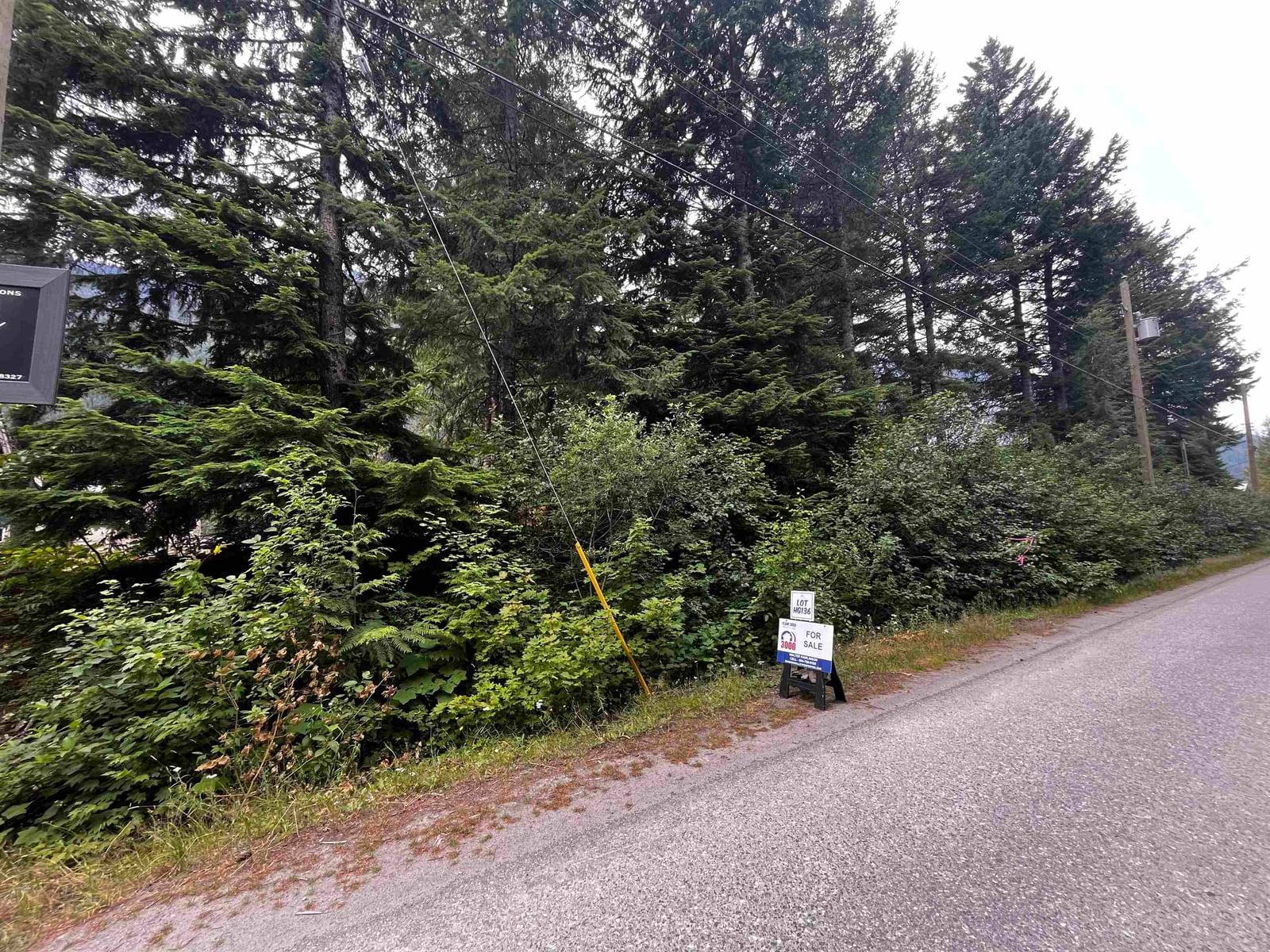 Listing Image 16