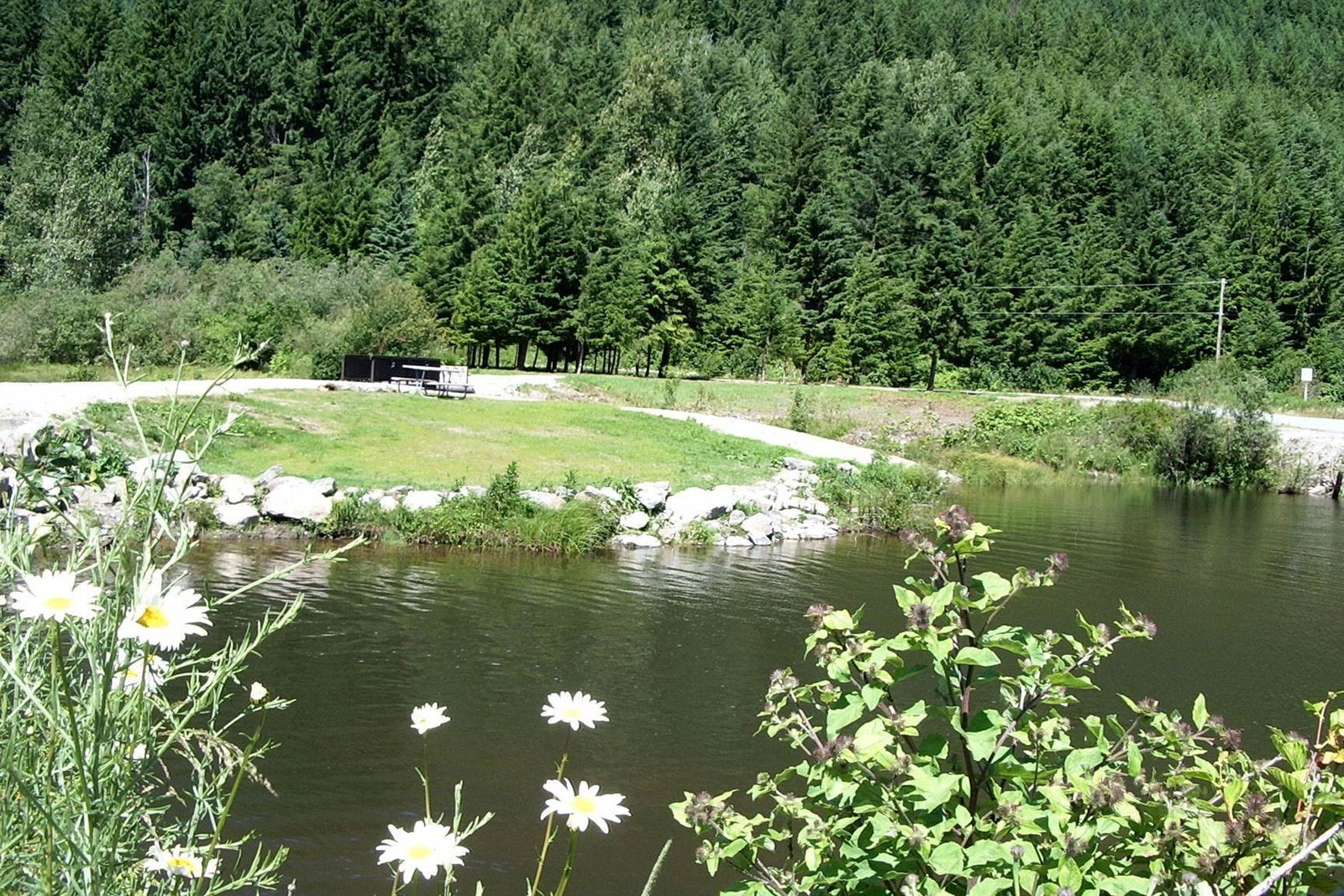 Listing Image 20