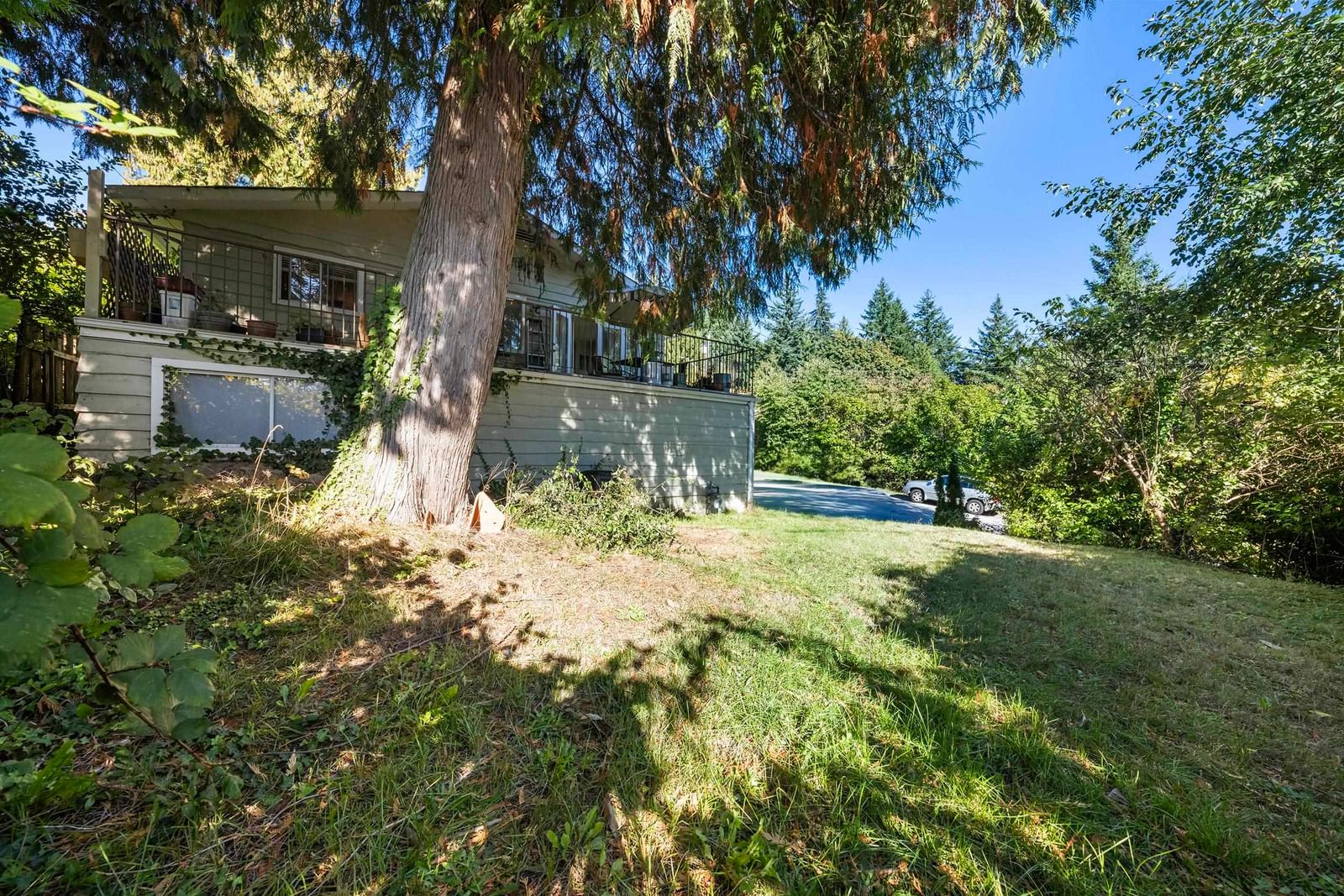 Listing Image 37