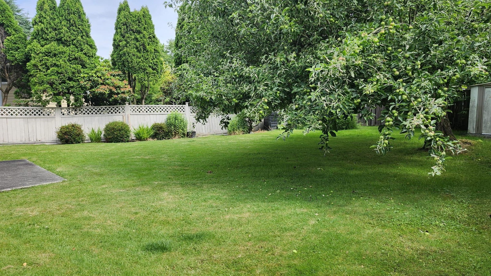 Listing Image 21