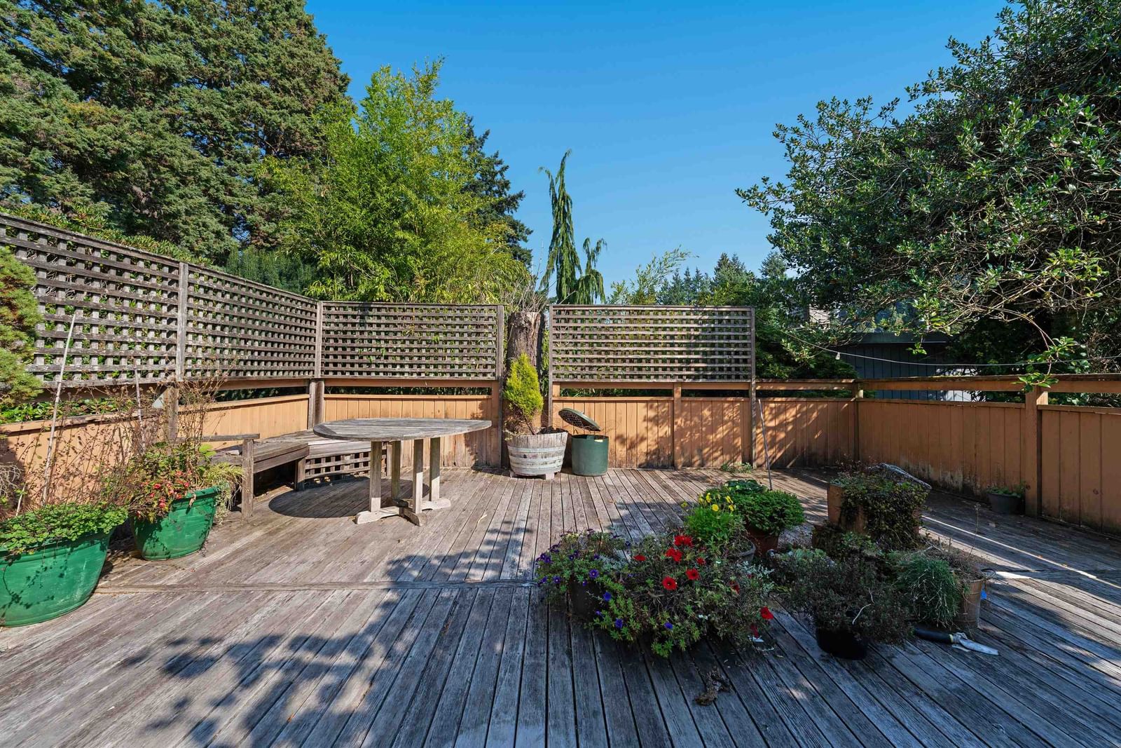 Listing Image 34