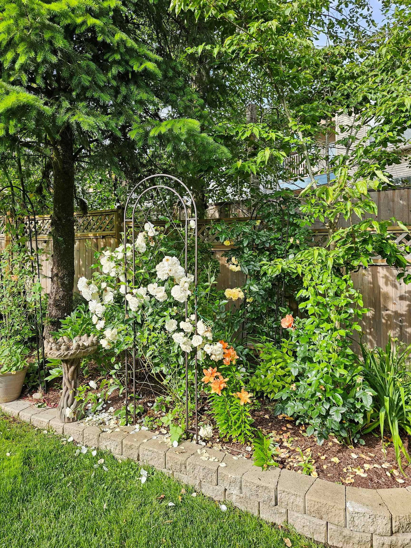 Listing Image 29