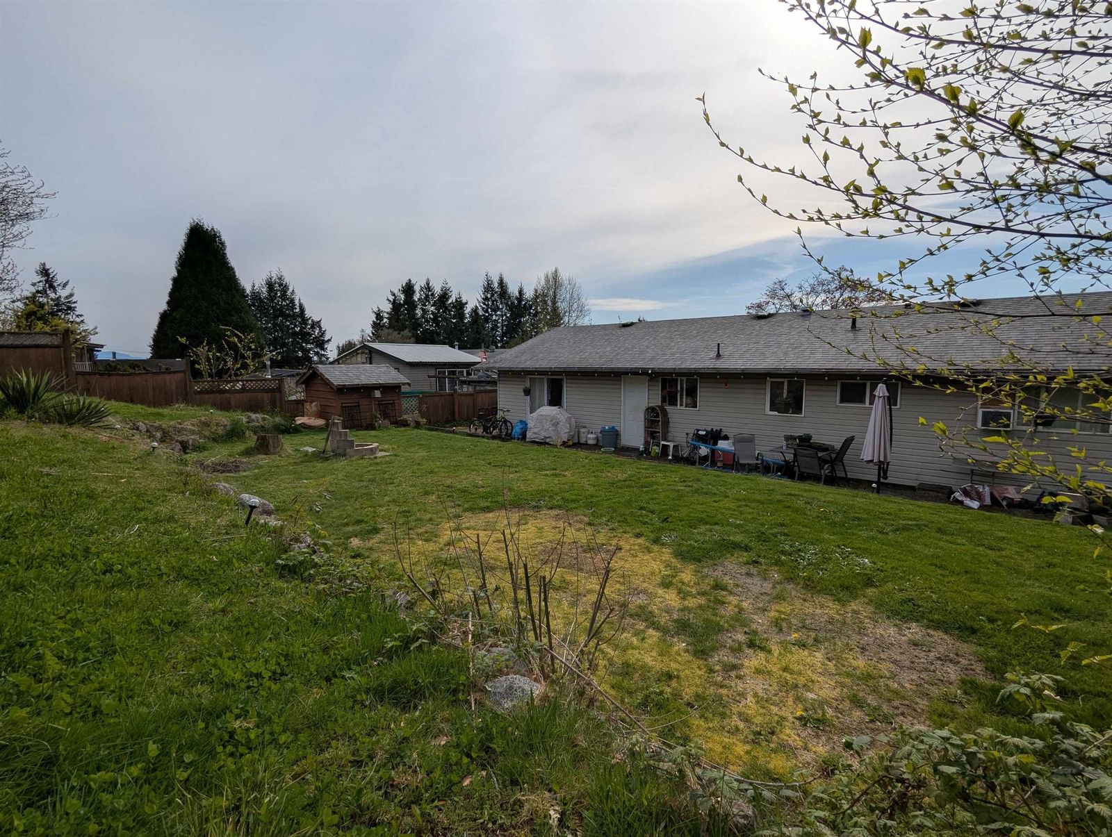 Listing Image 14