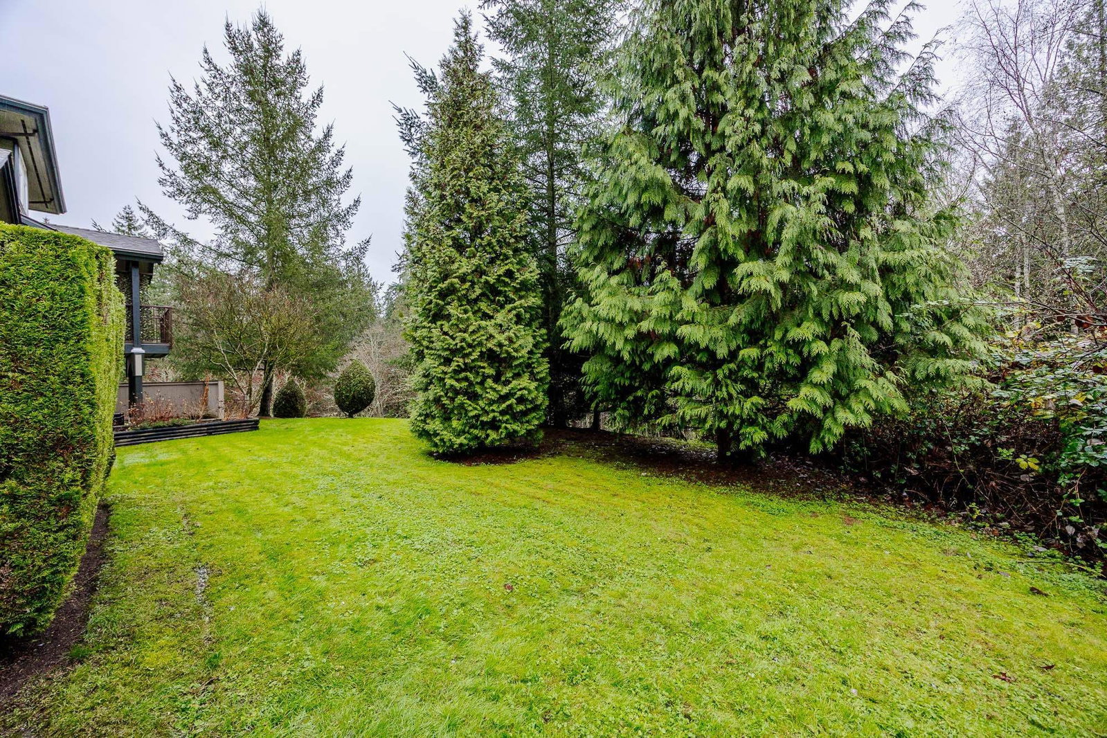 Listing Image 34