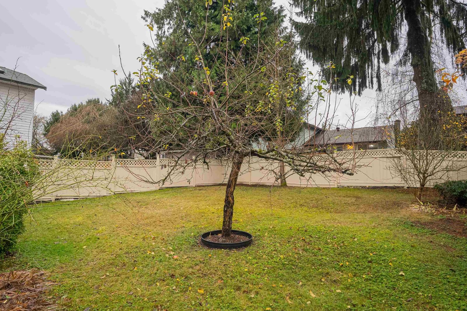 Listing Image 38
