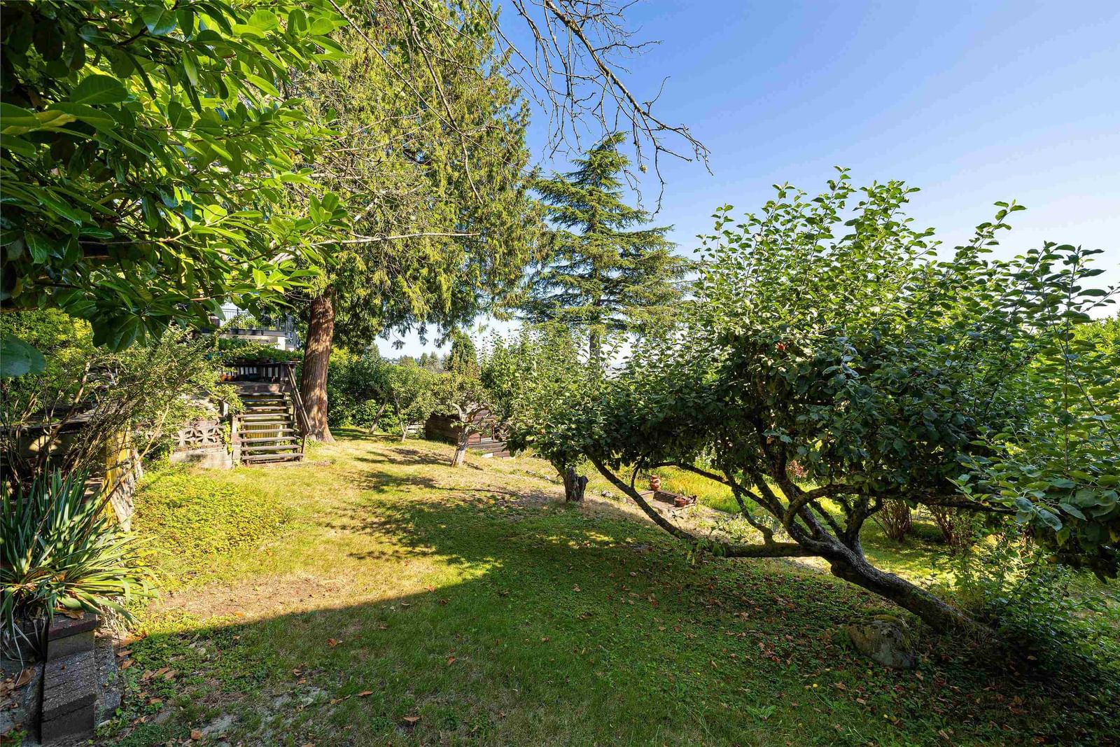 Listing Image 17