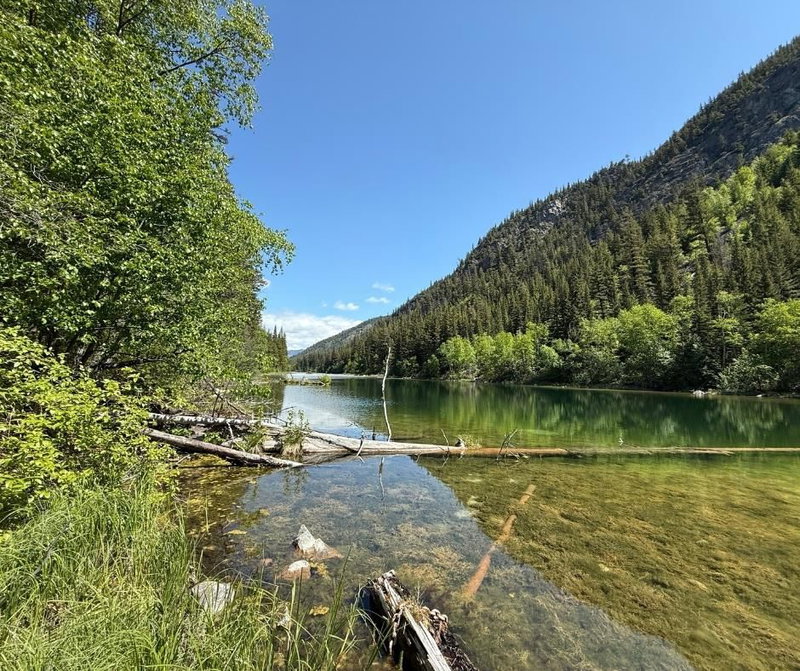 DL 2401 Sucker Lake Road