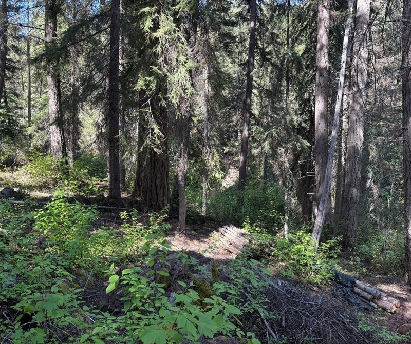 DL 2401 Sucker Lake Road