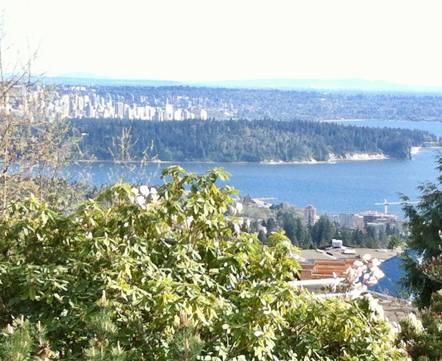 1378 Chartwell Drive