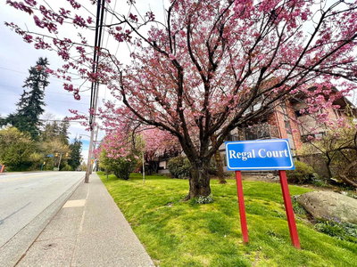 202 - 535 Blue Mountain Street | Coquitlam | Image