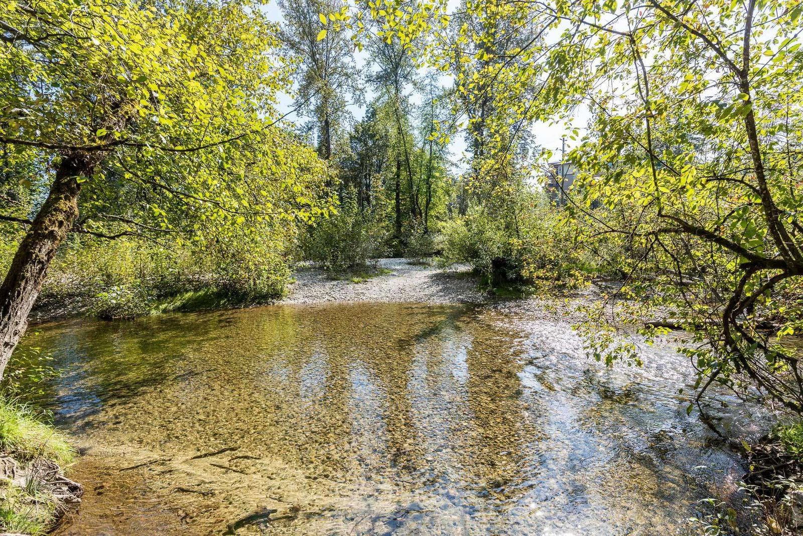 Listing Image 36