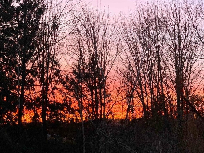 3863 Coachstone Way, Abbotsford, V2S 8G7 | Image 3