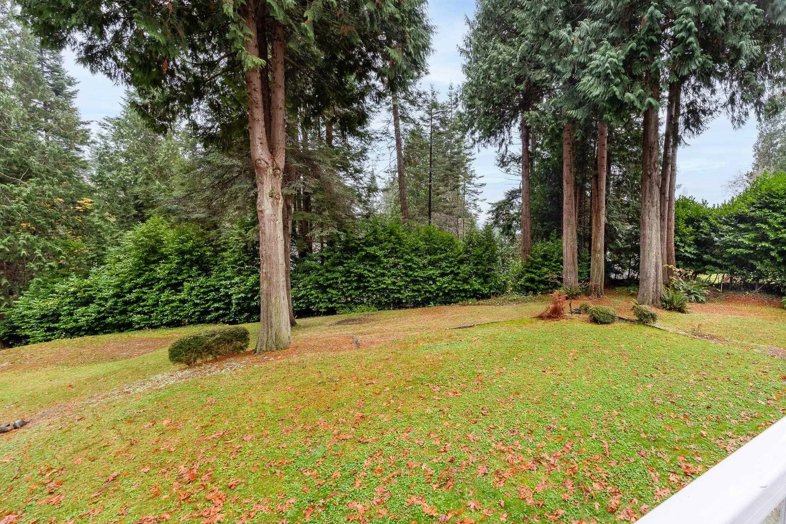 Listing Image 38