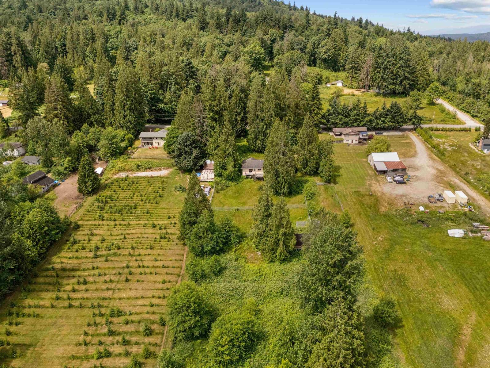 Listing Image 8