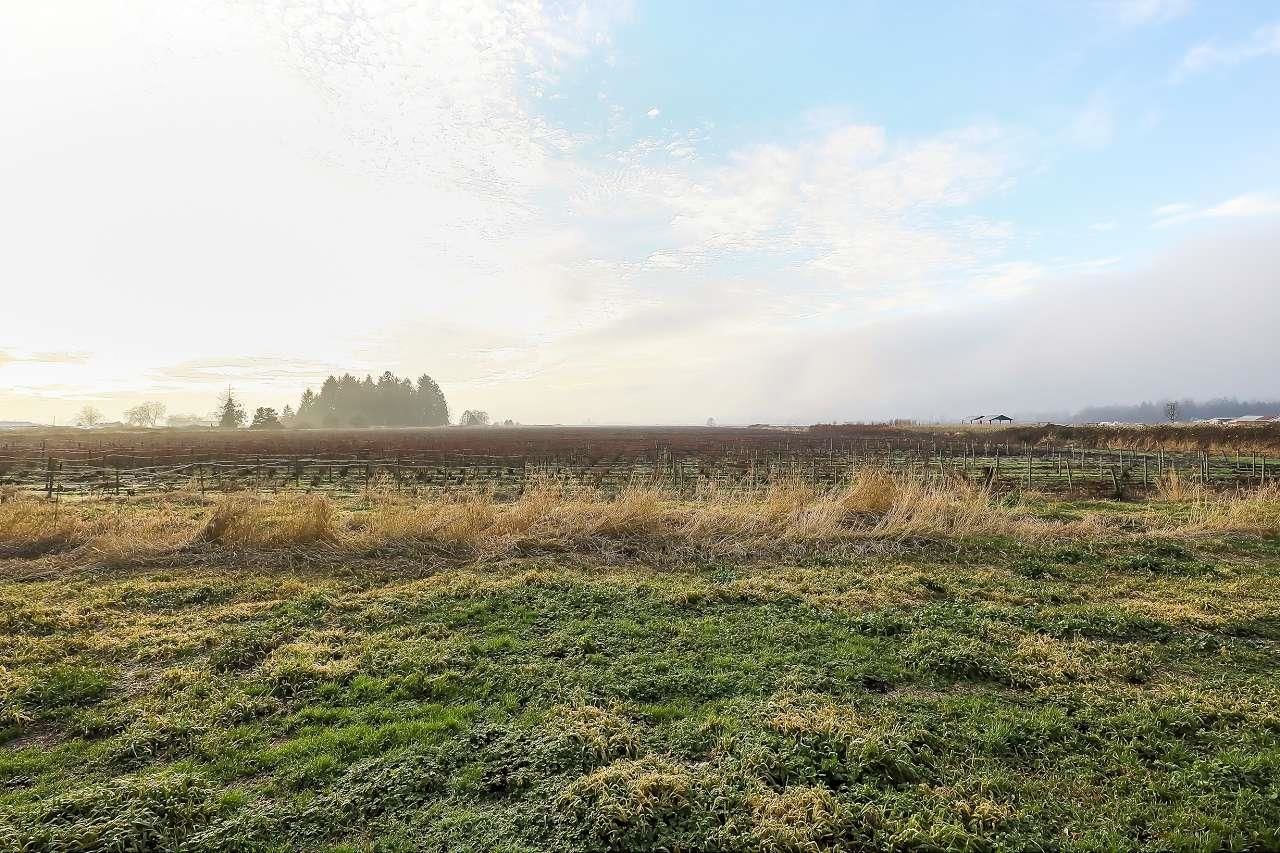 Listing Image 36