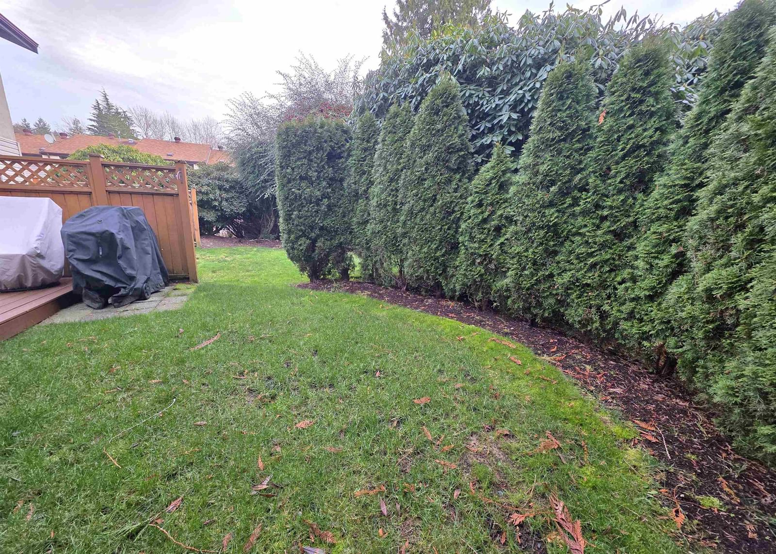Listing Image 30