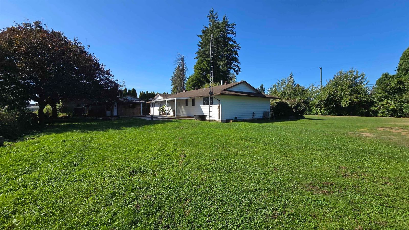 Listing Image 16