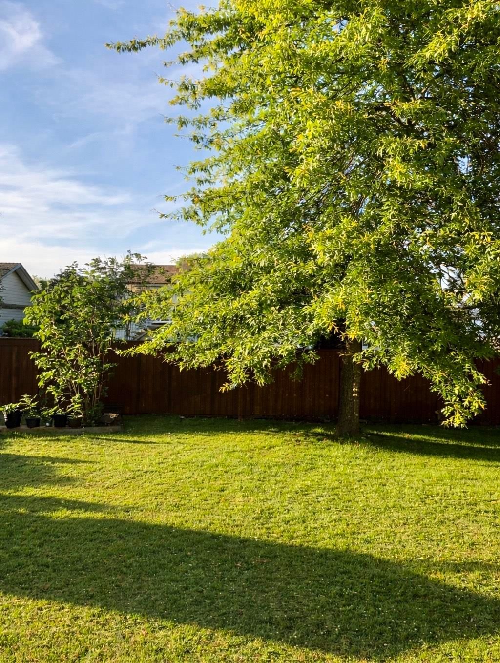 Listing Image 39