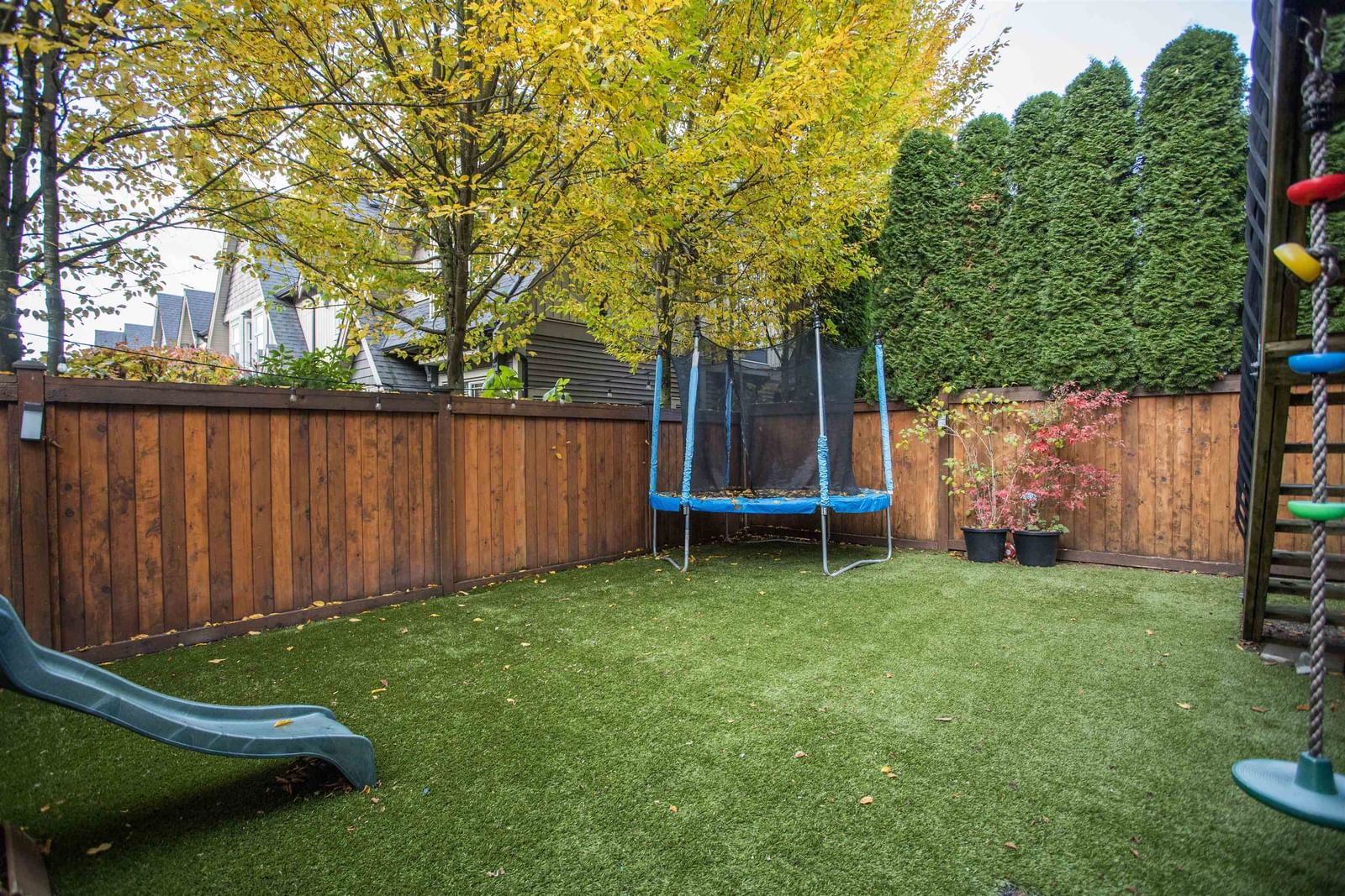 Listing Image 23