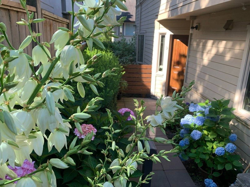 9 - 215 4th Street, North Vancouver, V7L 1J1 | Image 2