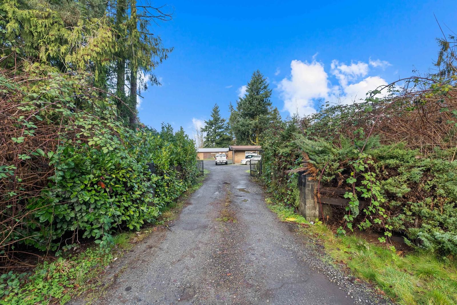 Listing Image 39