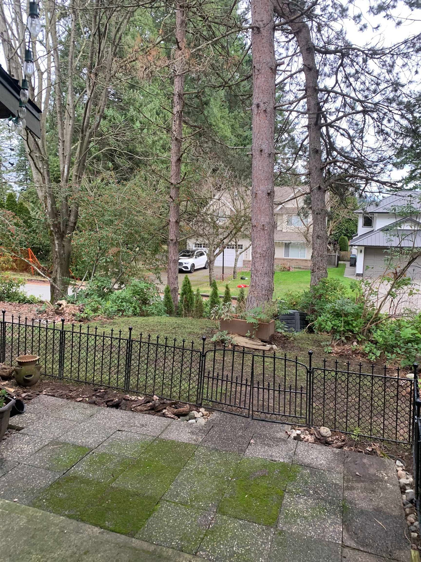 Listing Image 25