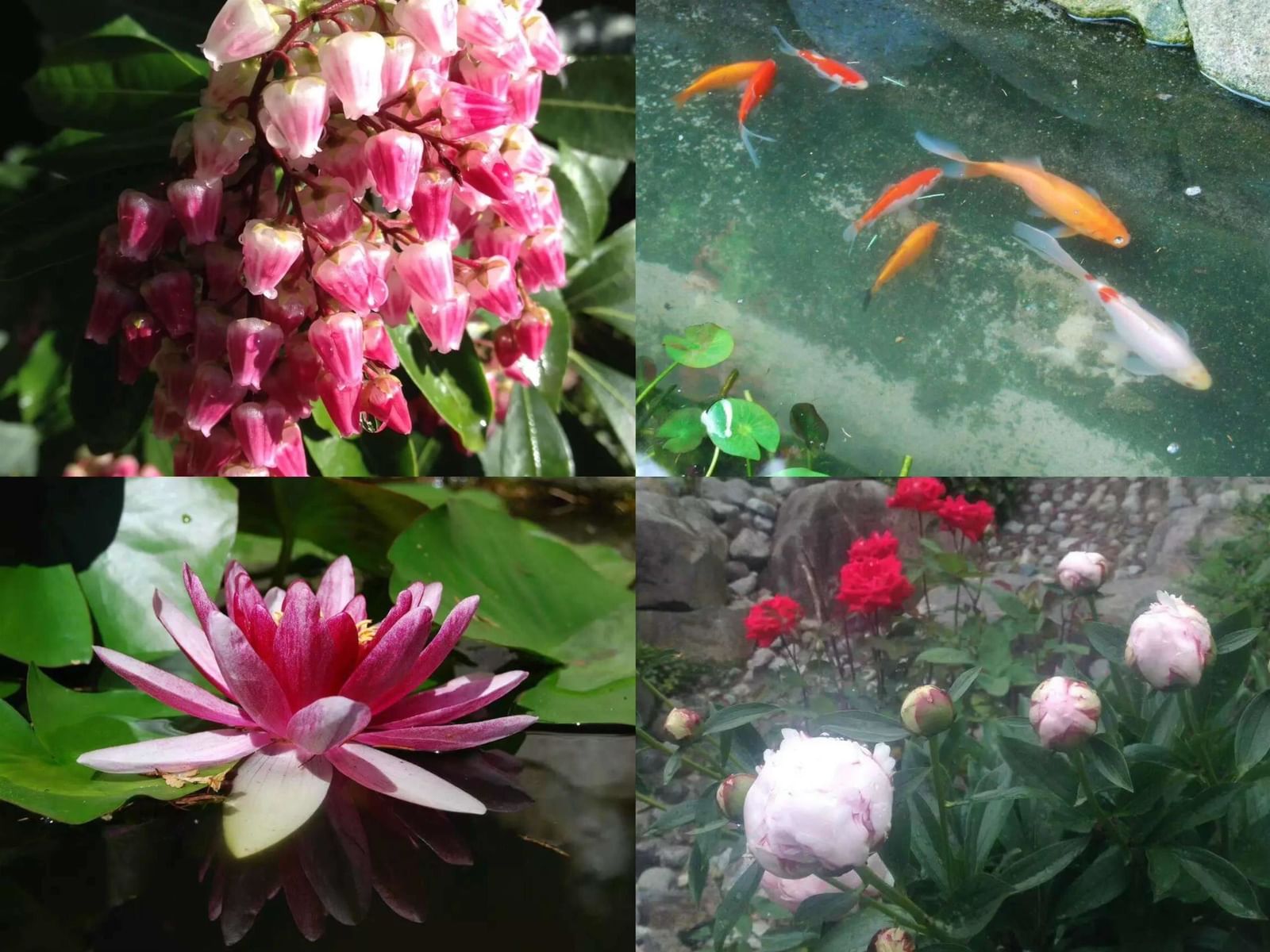 Listing Image 36