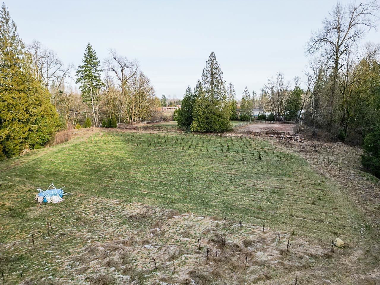 Listing Image 38