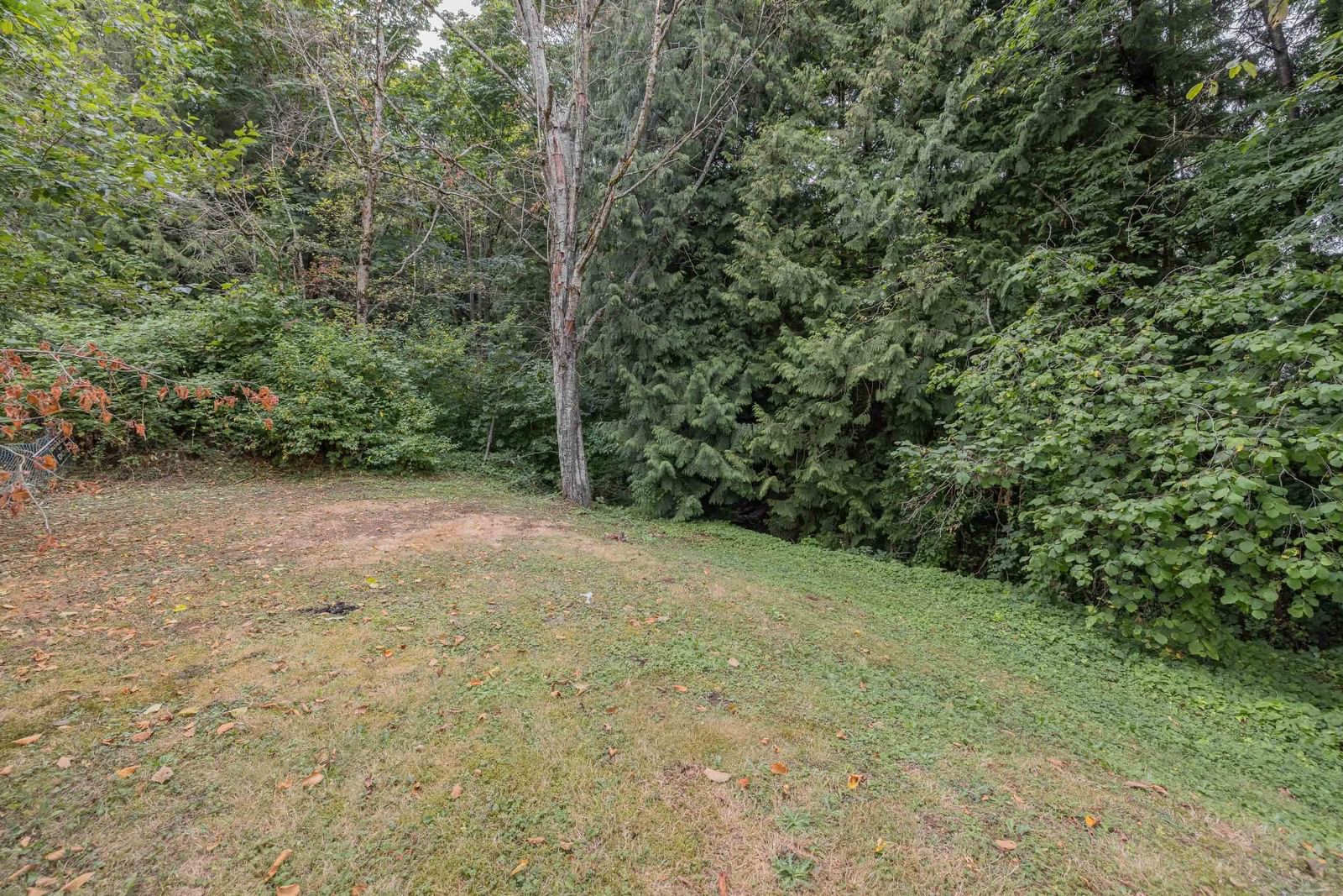 Listing Image 38