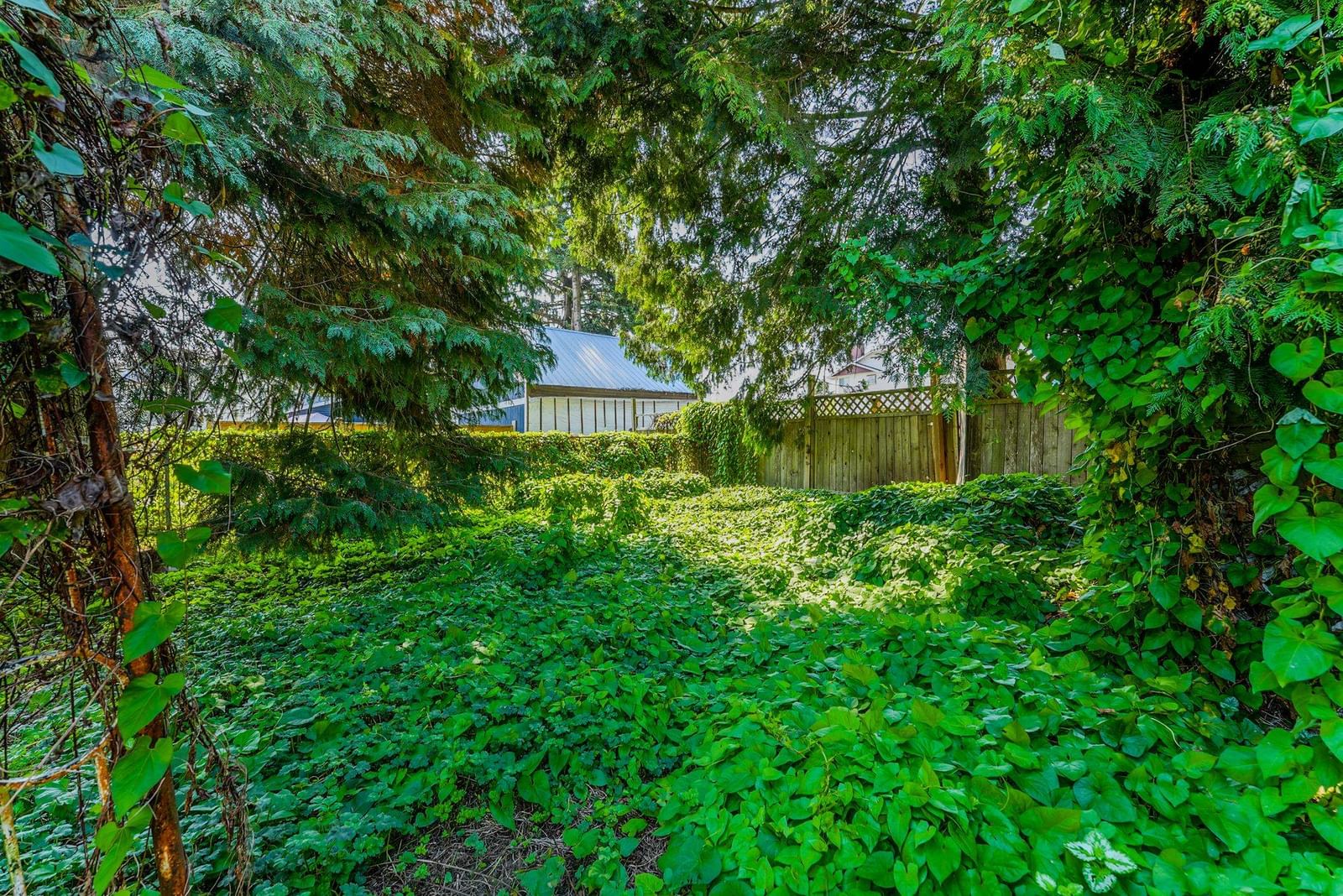 Listing Image 39
