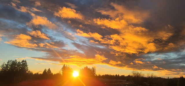 516 - 27218 Aldergrove Town Center Drive