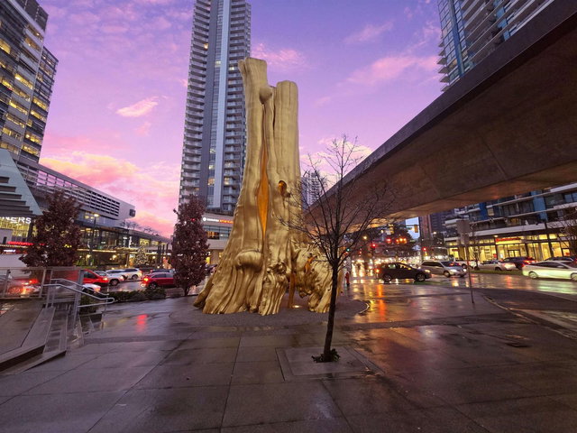 901 - 8131 Nunavut Lane