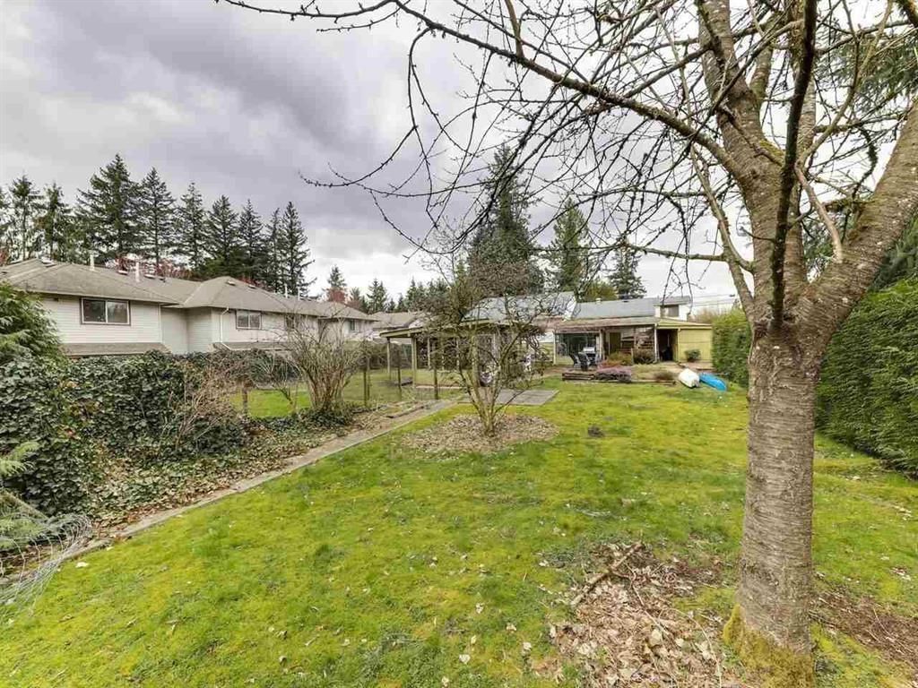 Listing Image 13
