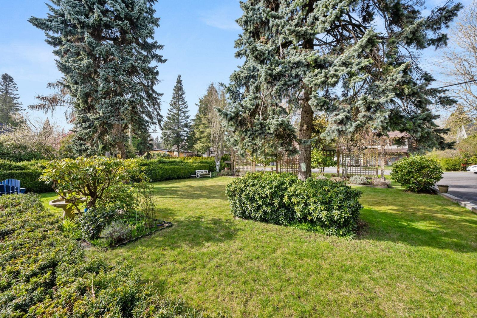 Listing Image 31