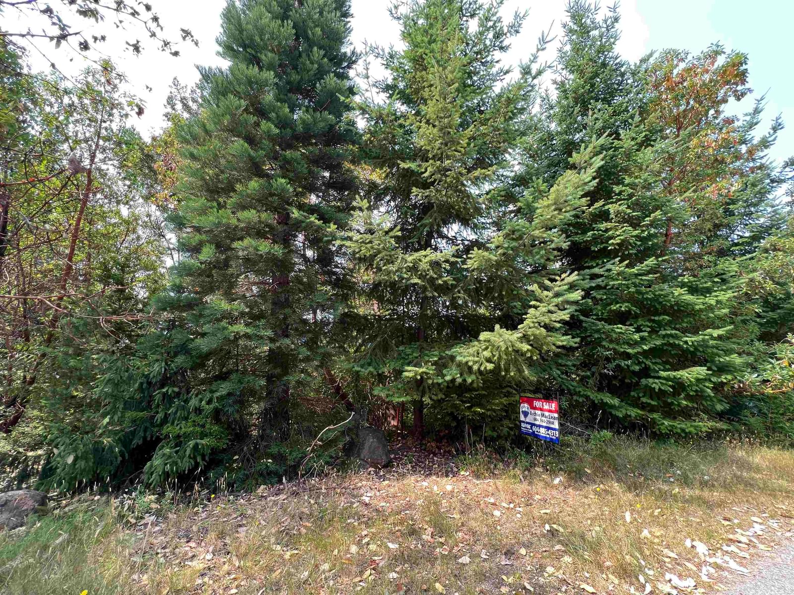 Listing Image 7