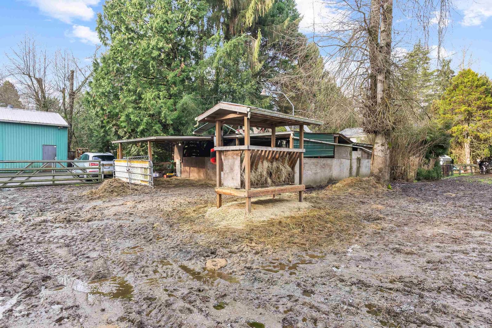 Listing Image 37