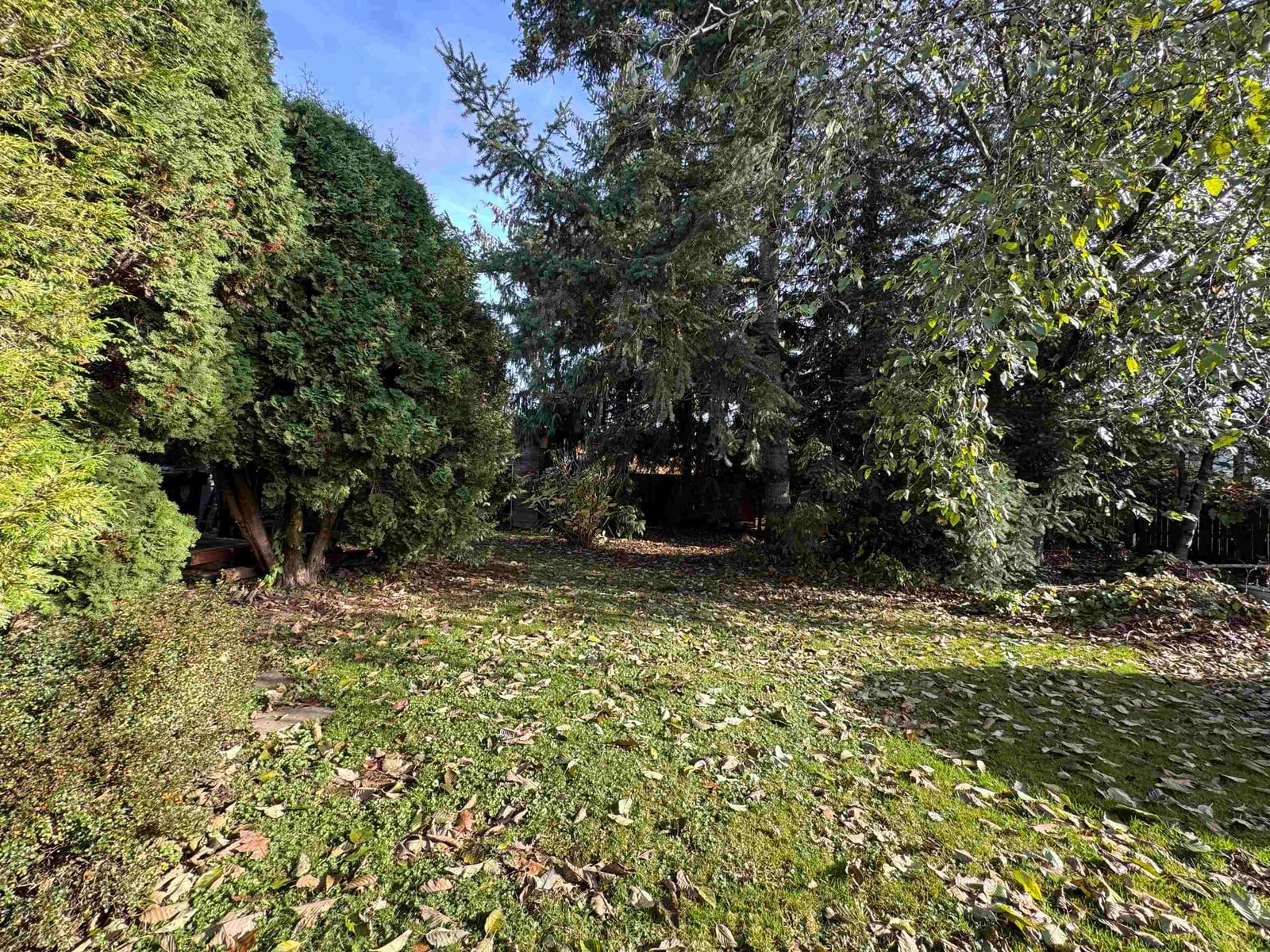 Listing Image 17