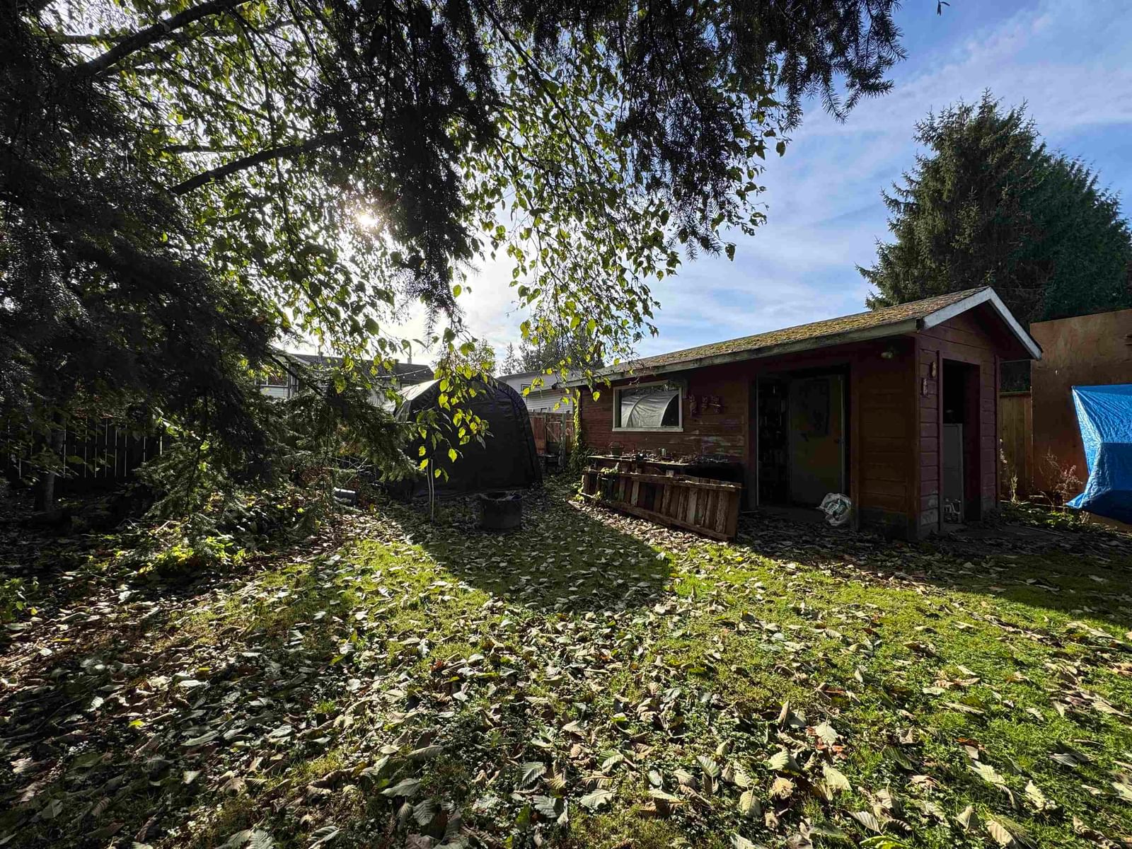 Listing Image 19